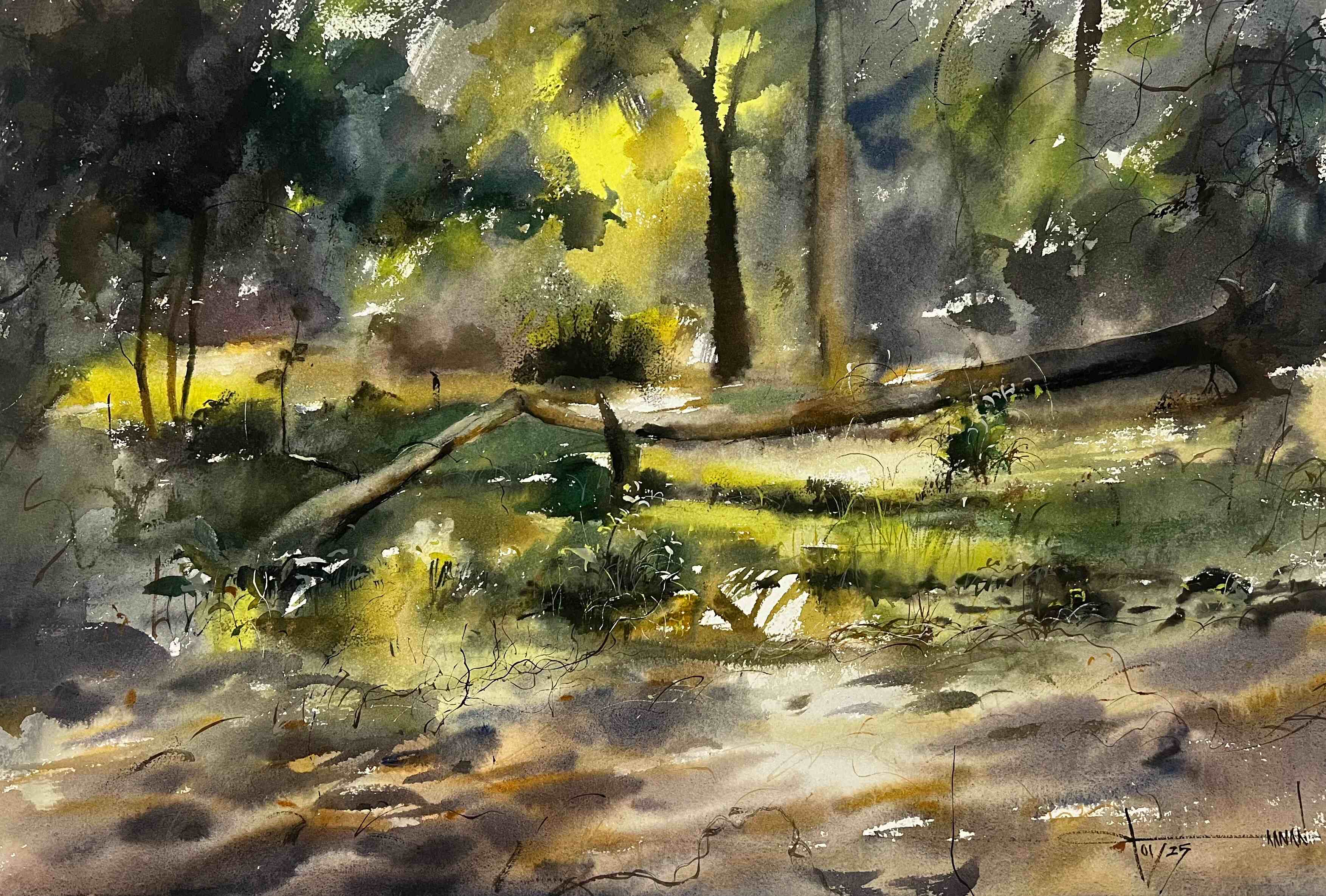 Kanan Khandelwal- WATER_COLOUR